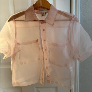 Rachel Zoe Light Pink Sheer Blouse